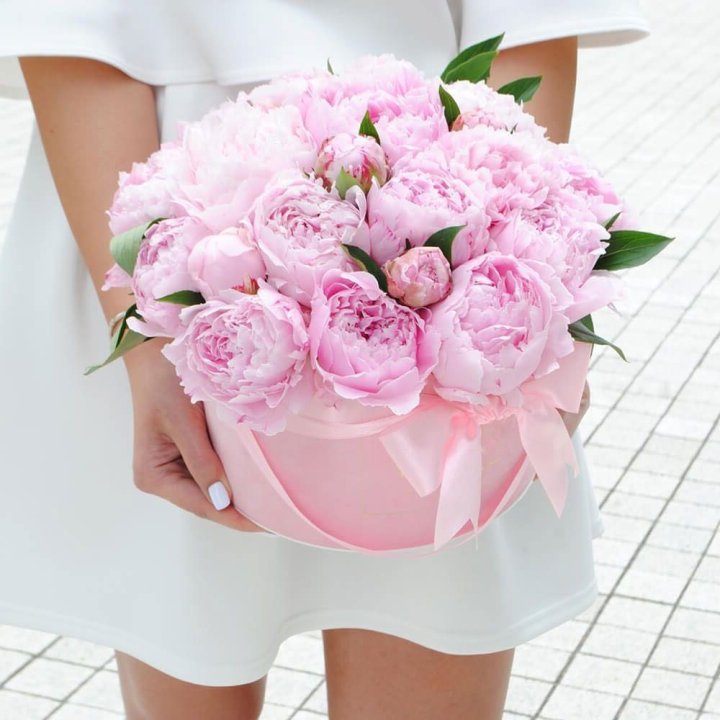 Пионы в шляпной коробке в Сыктывкаре