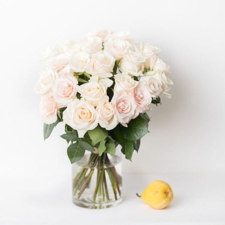 25 кремовых роз в Сыктывкаре