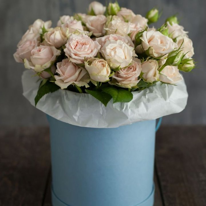 Бокс с бомбастиком в Сыктывкаре