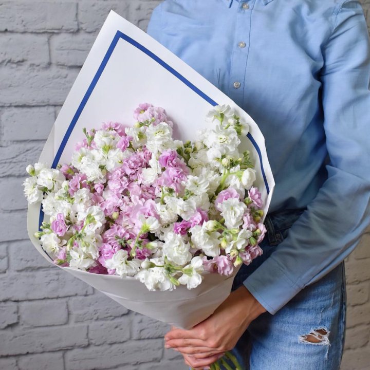 Маттиола в Сыктывкаре