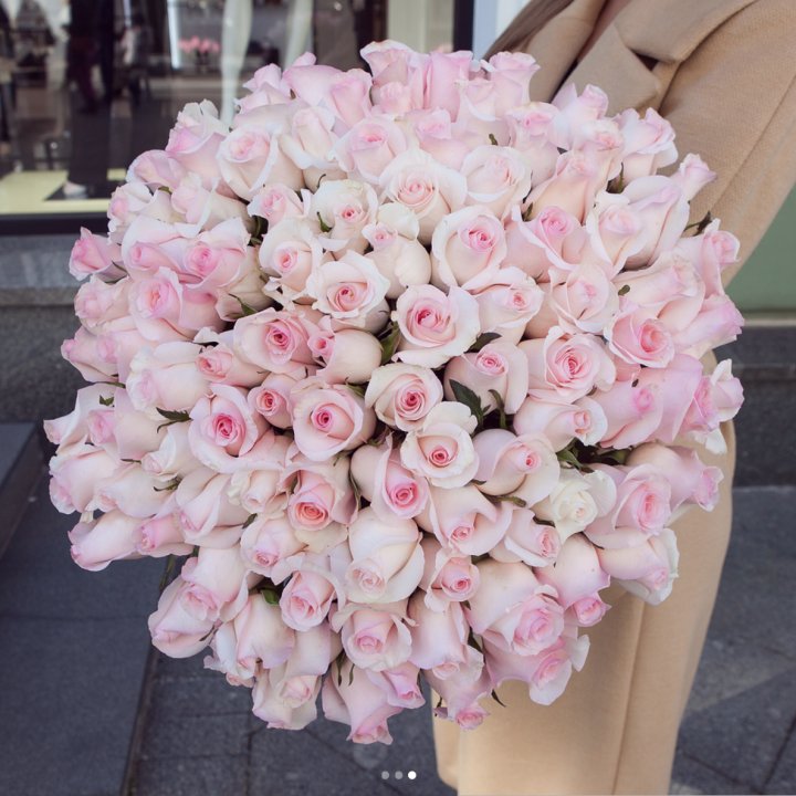 Розы "Пинк бум" в Сыктывкаре