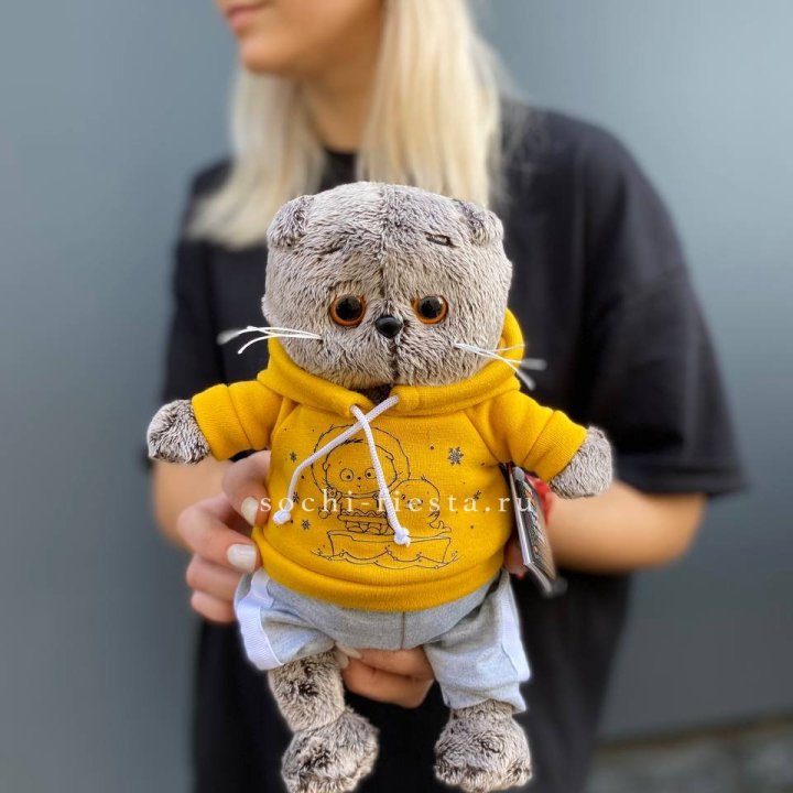 Кот Басик в худи в Сыктывкаре