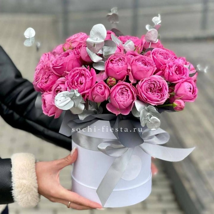 Бокс мисти баблс №2 в Сыктывкаре