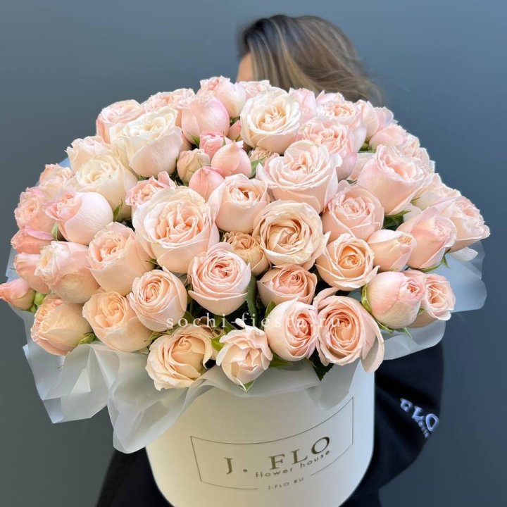 Бомбастик бокс Премьер в Сыктывкаре