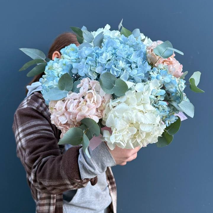 Гортензии в коробочке в Сыктывкаре