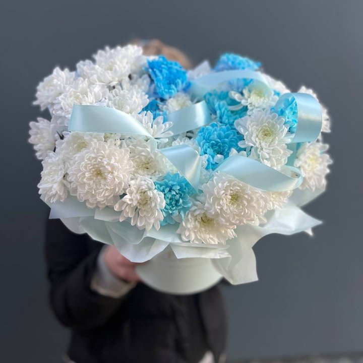 Хризнтемы в боксе в Сыктывкаре