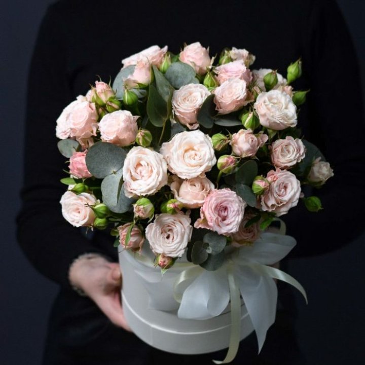 Бомбастик бокс №2 в Сыктывкаре