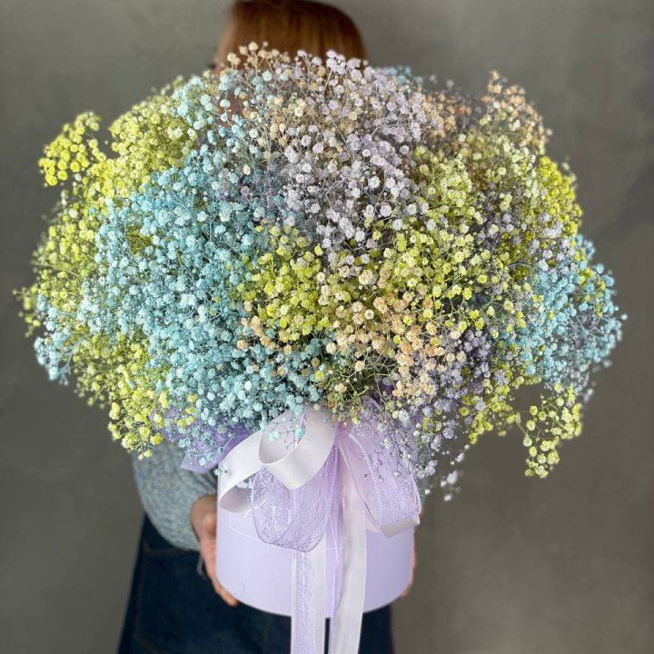 Бокс из гипсафил в Сыктывкаре