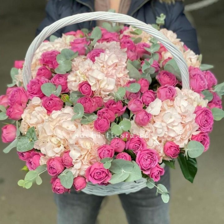 Корзина с гортензией и Мисти Баблс в Сыктывкаре