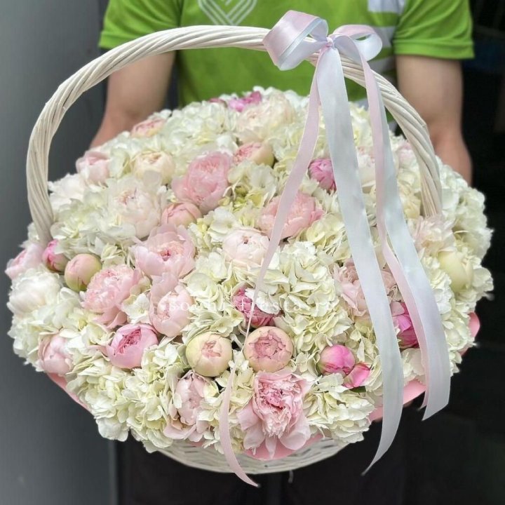 Премиум корзина гортензий и пионов в Сыктывкаре