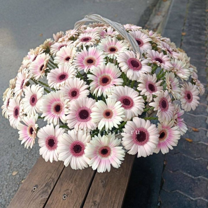 Корзина с герберами  в Сыктывкаре