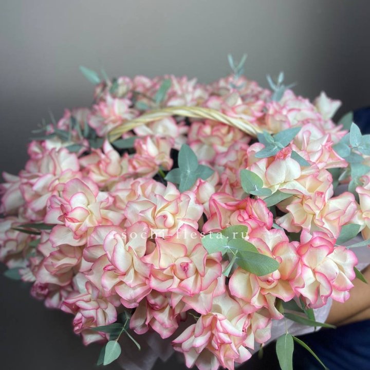 51 джумилия  в корзине   в Сыктывкаре