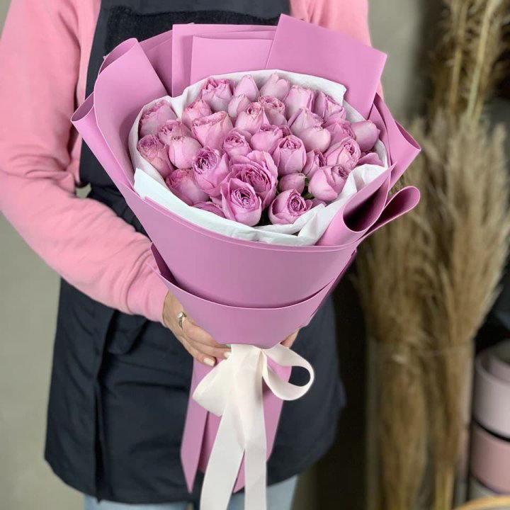 Lavender Pionka в Сыктывкаре