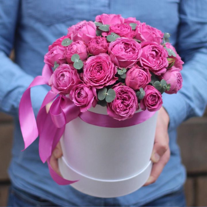 Бокс мисти баблс в Сыктывкаре