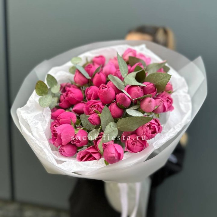 17 Мисти бабблс в Сыктывкаре