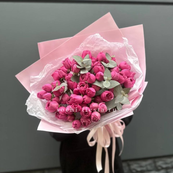 25 Мисти бабблс в Сыктывкаре