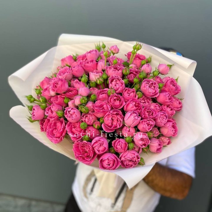 Мисти Баблс 35шт в Сыктывкаре