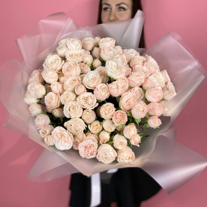 Carina в Сыктывкаре