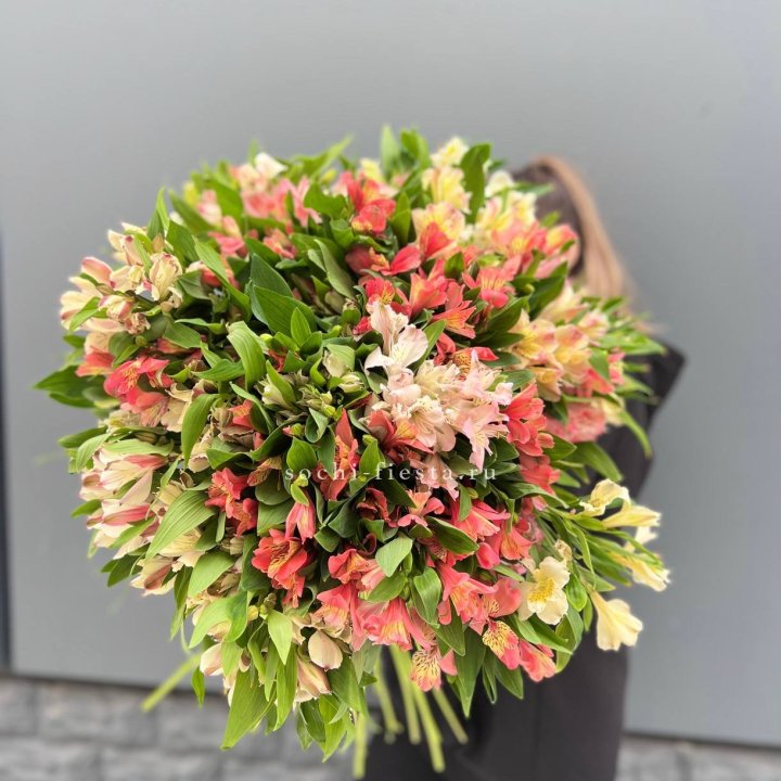 51 альстромерия в Сыктывкаре