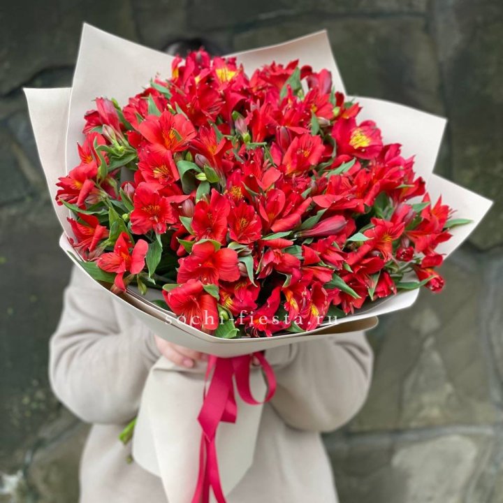 51 альстромерия в Сыктывкаре