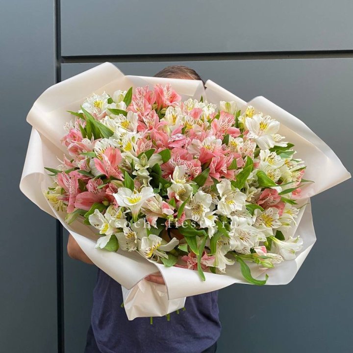 39 альстромерий в Сыктывкаре