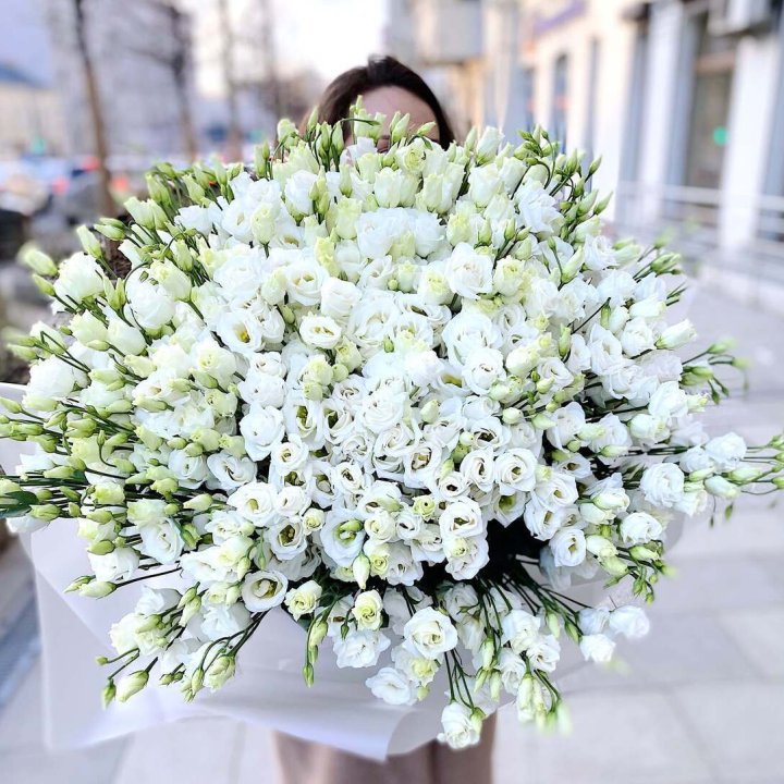 101 белая эустома в Сыктывкаре