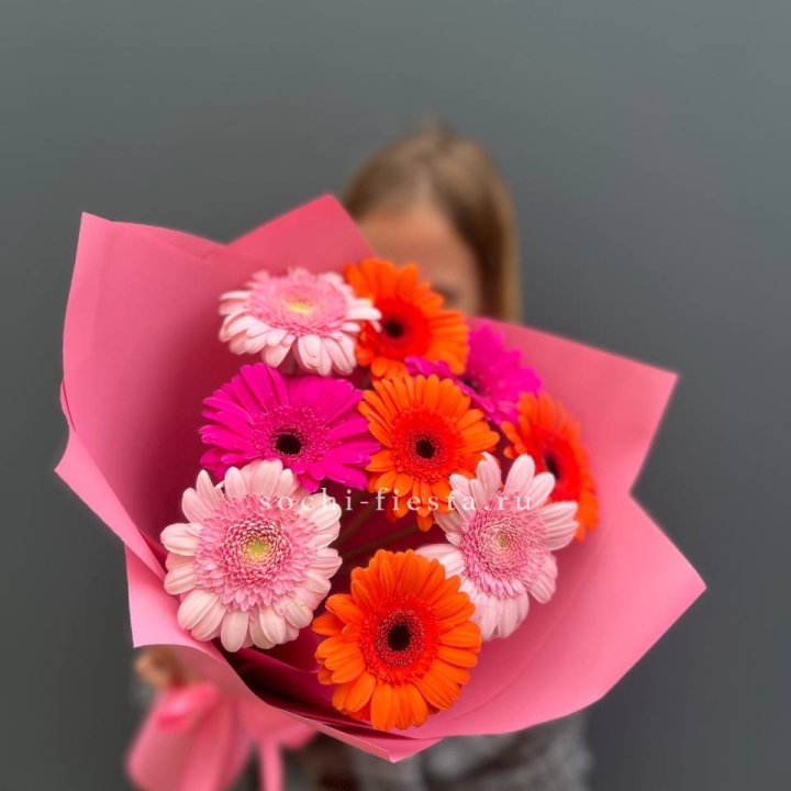 Краски в Сыктывкаре