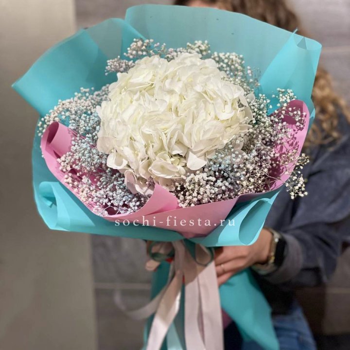 Гортензия "Райдов" в Сыктывкаре