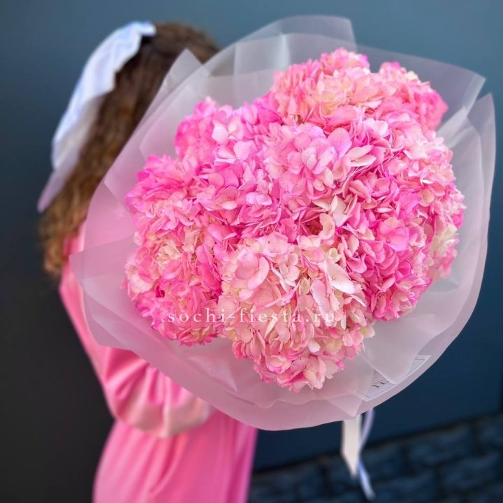 7 ярко розовых гортензий в Сыктывкаре