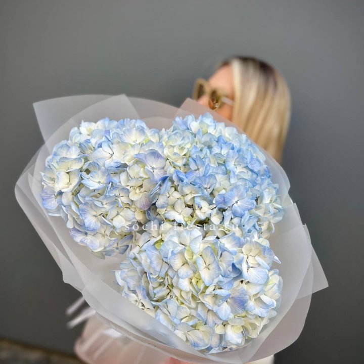 Букет из 3 голубых гортензий  в Сыктывкаре