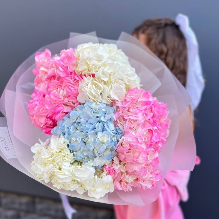 7 гортензий микс в Сыктывкаре