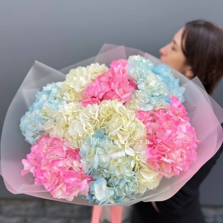 9 гортензий микс в Сыктывкаре