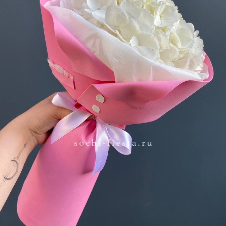 Гортензия в розовом пиджаке в Сыктывкаре