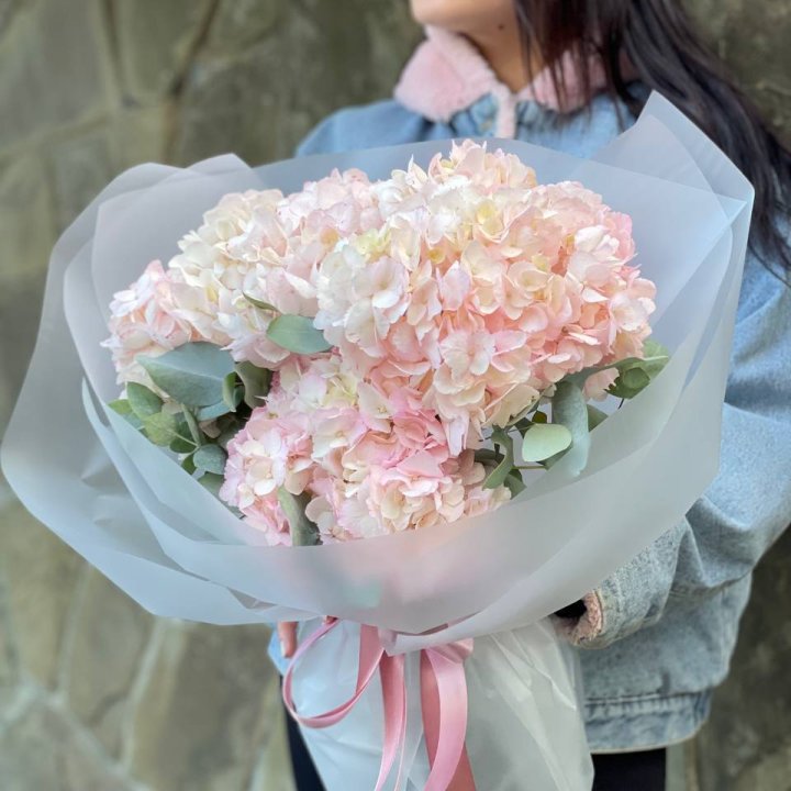 5 розовых гортензий в Сыктывкаре