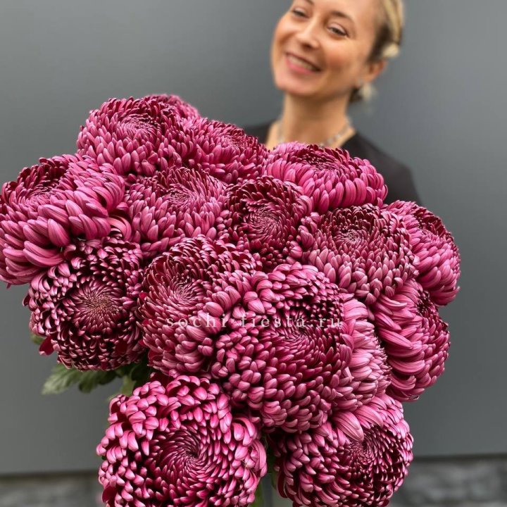 Охапка хризантем Бигуди в Сыктывкаре