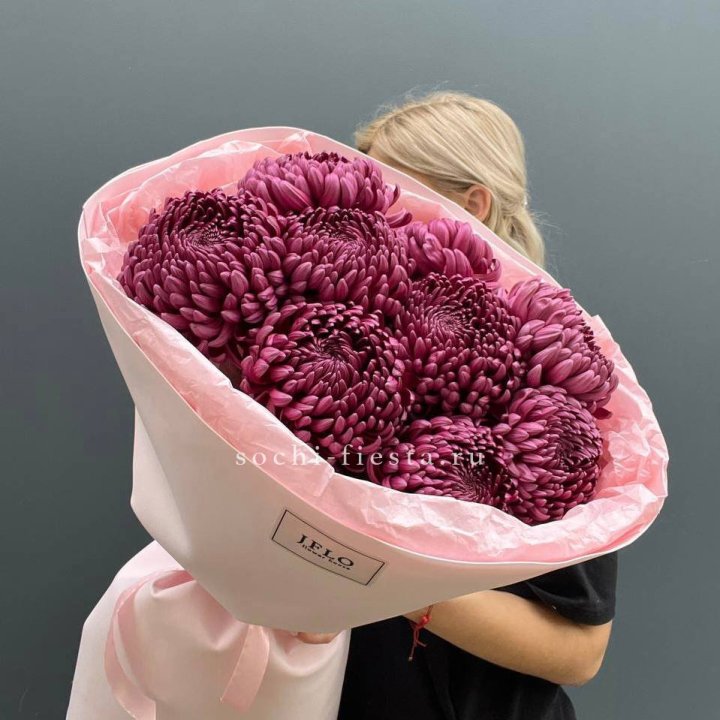 9 хризантем бигуди в Сыктывкаре