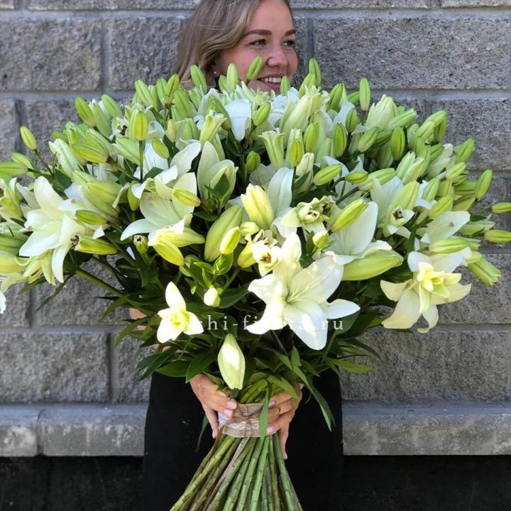 51 лилия в Сыктывкаре