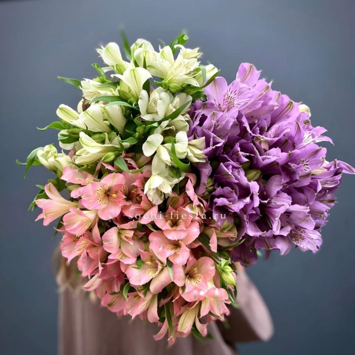 Охапка Альстромерии в Сыктывкаре