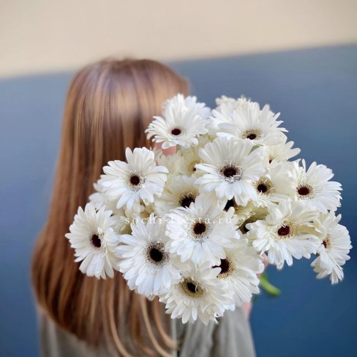 Охапка гербер в Сыктывкаре