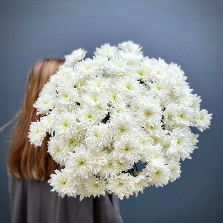 Охапка Хризантемы кустовой в Сыктывкаре