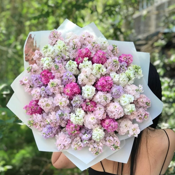 Букет ароматной маттиоллы №3 в Сыктывкаре