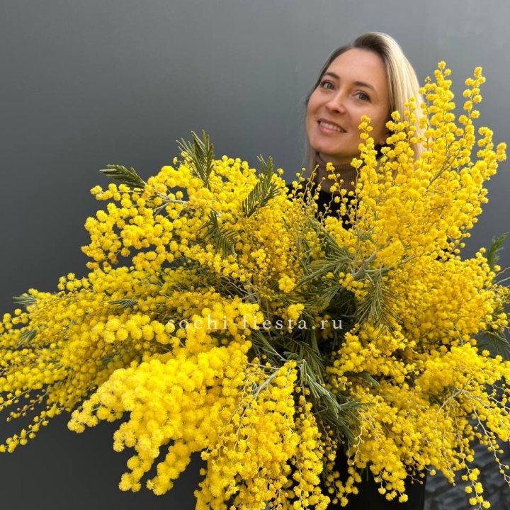 Охапка мимозы №2 в Сыктывкаре