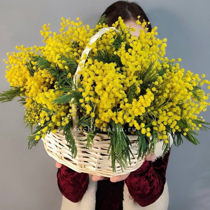 Корзина ароматной мимозы в Сыктывкаре