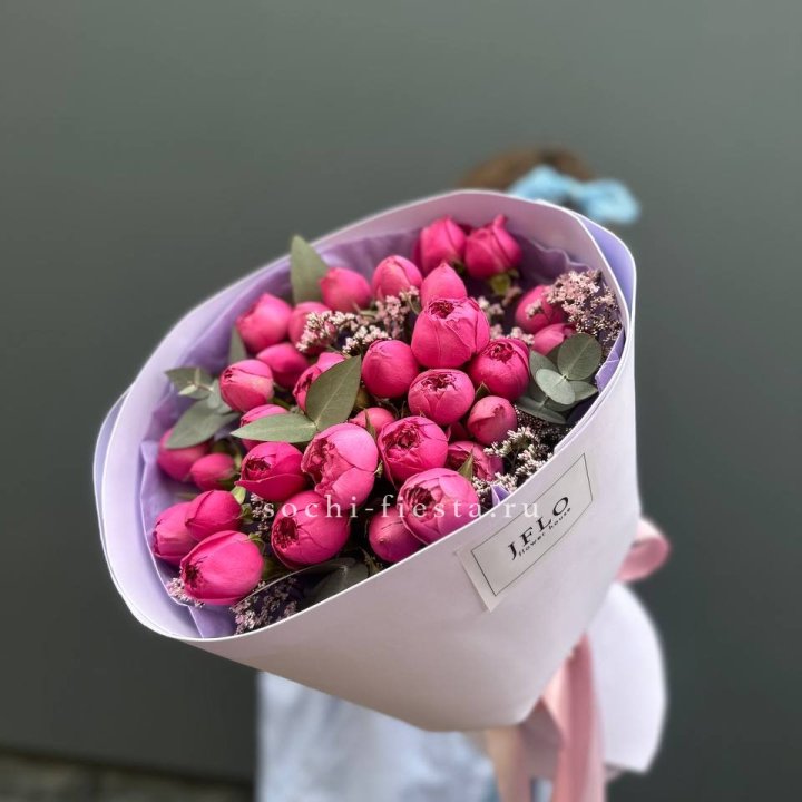 Мисти Баблс  "Кремиси" в Сыктывкаре