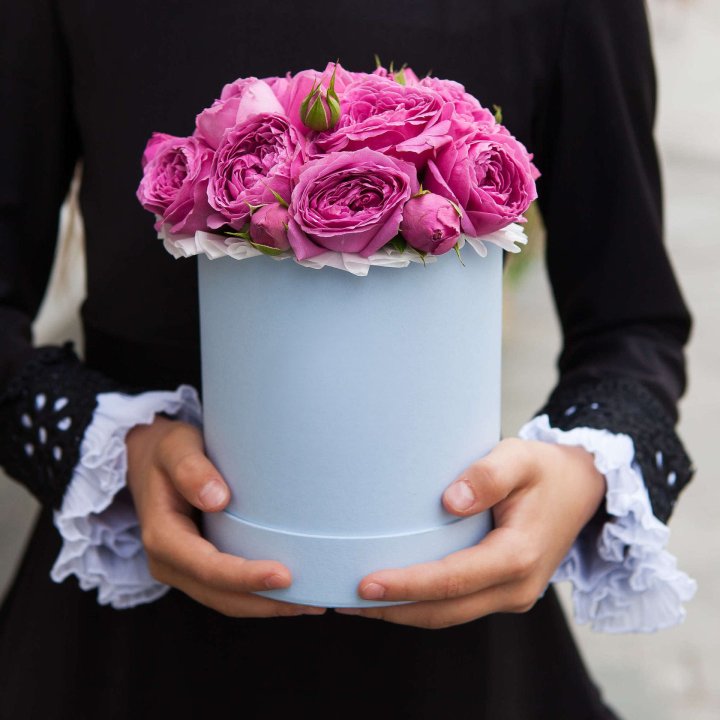 Бокс мини мисти в Сыктывкаре