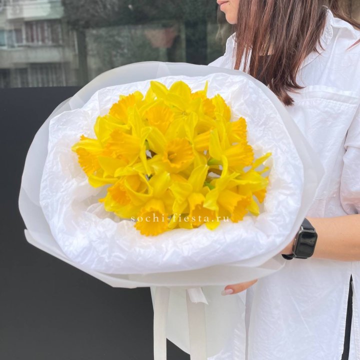 Нарциссы 25 шт в Сыктывкаре