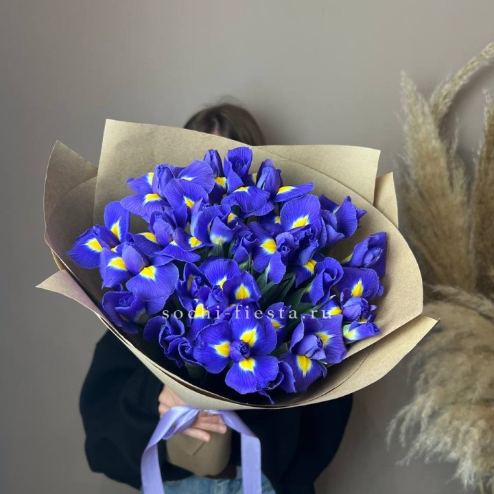 Ирисы в Сыктывкаре