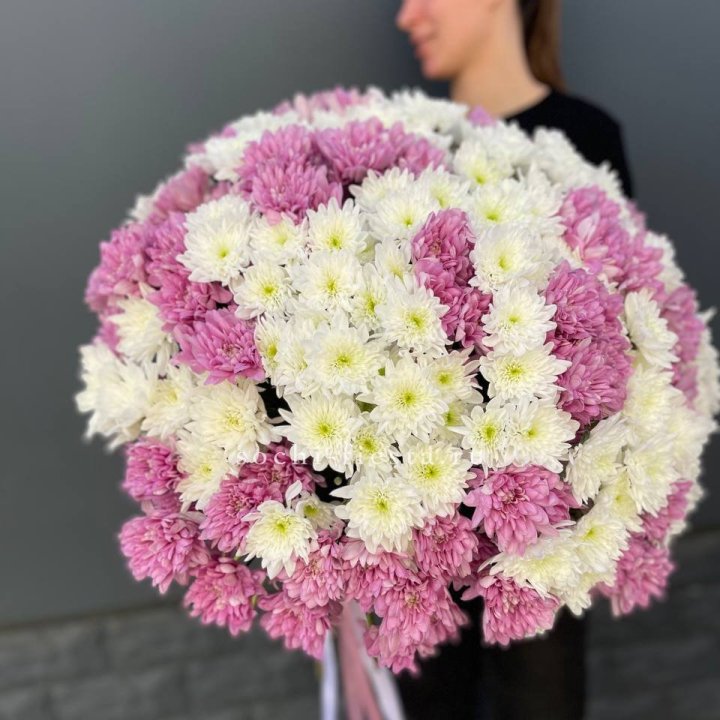  Букет 25 хризантем микс в Сыктывкаре