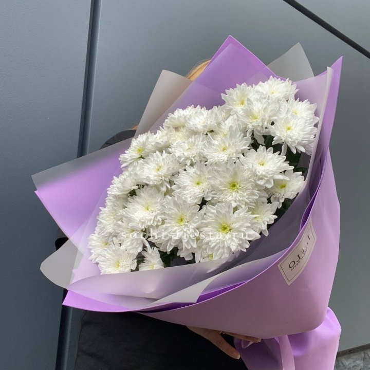  7 хризантем  в Сыктывкаре