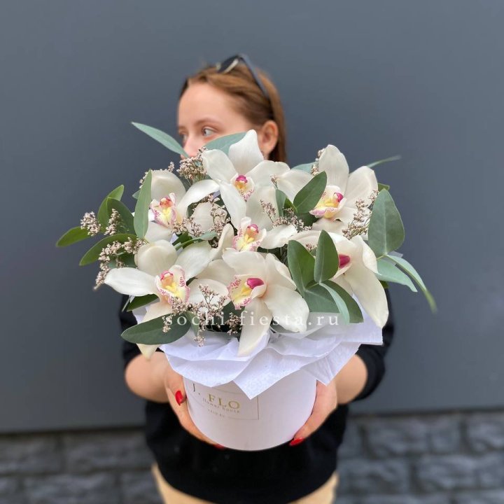 7 орхидей в боксе в Сыктывкаре